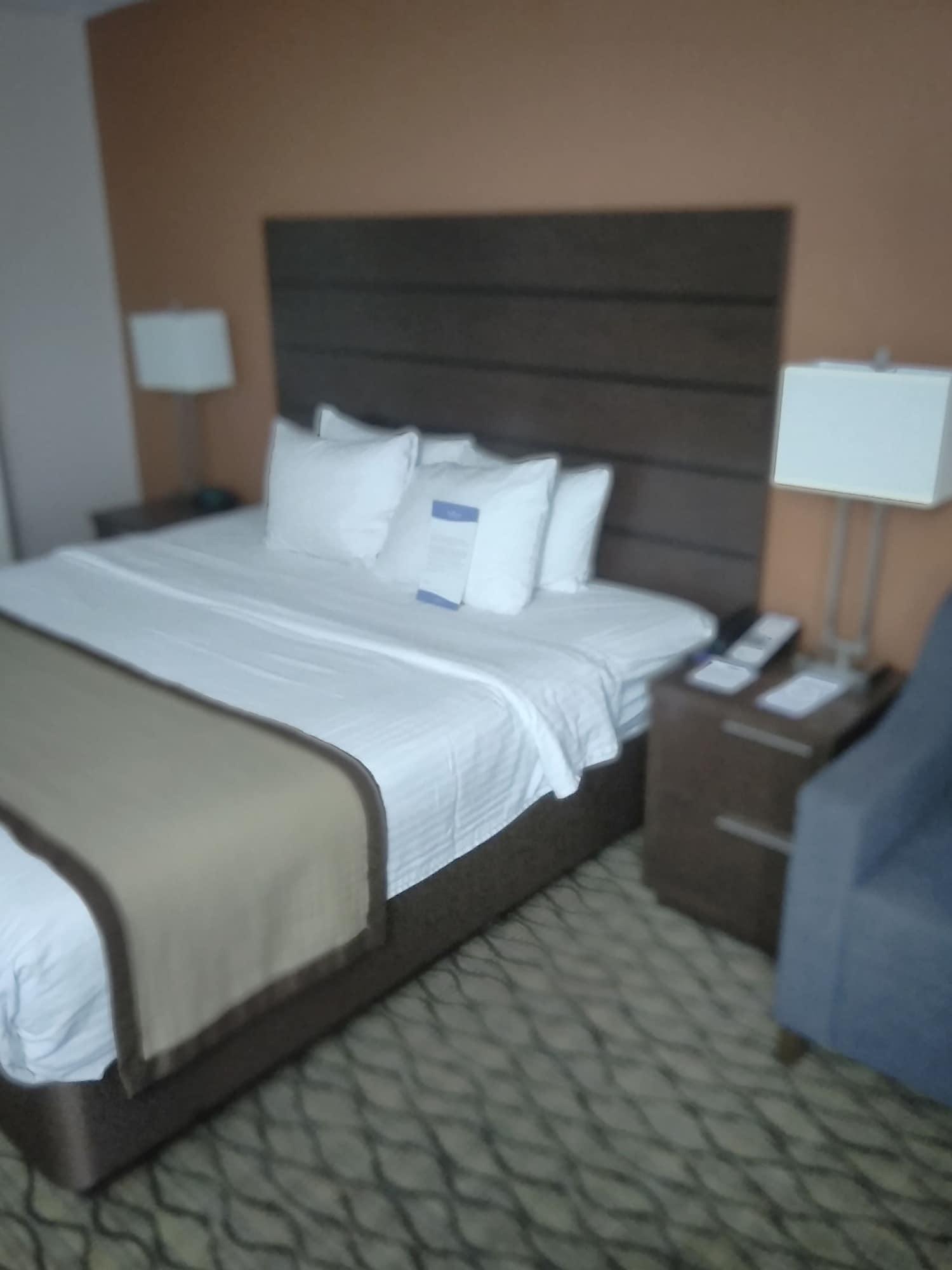 Baymont By Wyndham Madison Heights Detroit Area Exterior foto